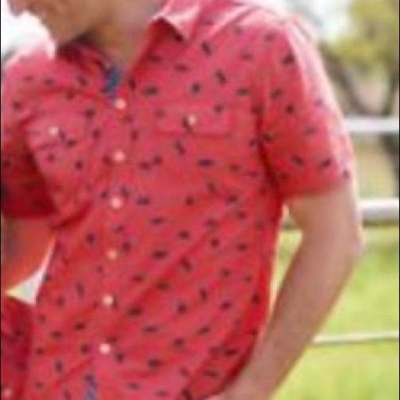 Matilda Jane men’s button down shirt size L, NWT - Picture 3 of 5